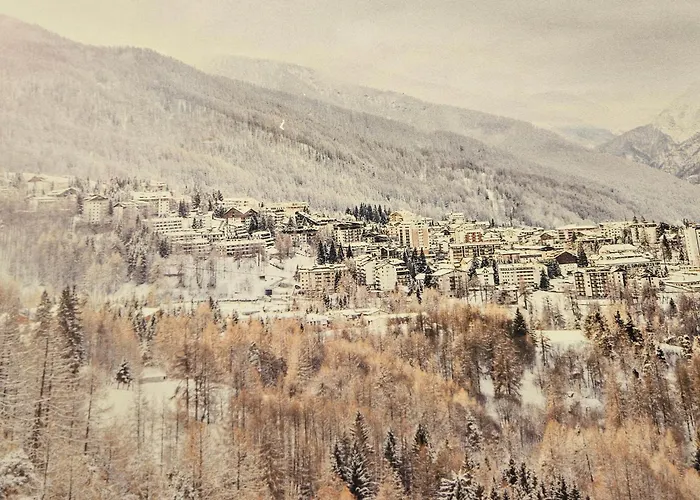Hotel Debili